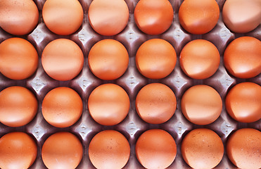 Image showing raw eggs