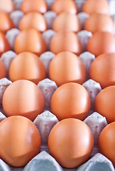 Image showing raw eggs