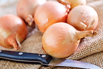 Image showing raw onion