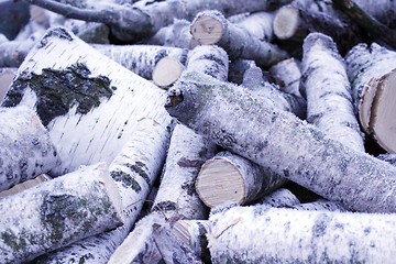 Image showing Fire wood covered by hoar-frost