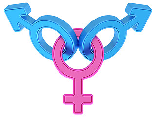 Image showing Female and two male gender symbols chained together on white