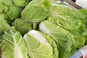 Image showing Chinese lettuce on sale 