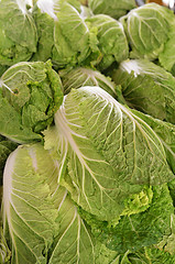 Image showing Chinese lettuce on sale