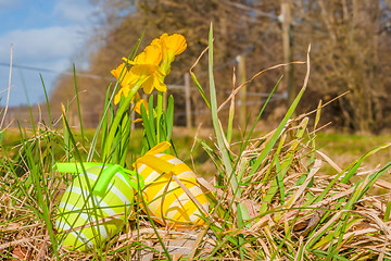 Image showing Easter eggs and daffodils