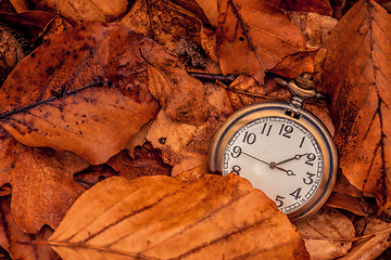 Image showing Clock in autumn leaves