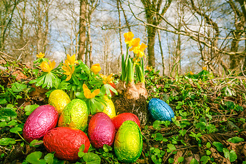 Image showing Easter eggs in a forest