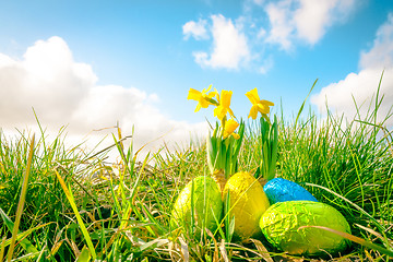 Image showing Easter eggs in green grass