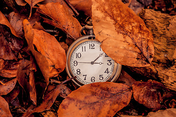 Image showing Clock in the autumn
