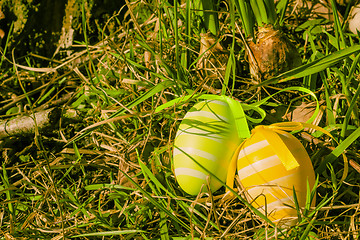 Image showing Easter eggs on grass