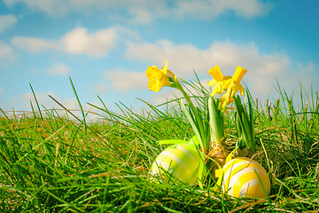 Image showing Easter eggs and yellow daffodils