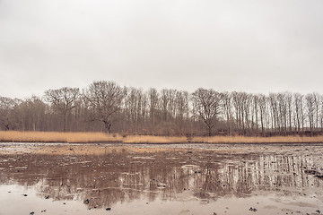 Image showing Lake in the winter