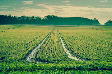 Image showing Tracks on a green field