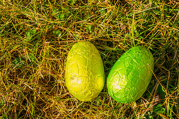 Image showing Colorful easter eggs in grass