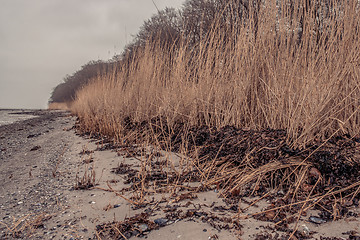 Image showing Beach in the winter