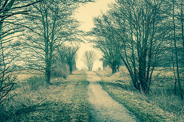 Image showing Nature path with trees