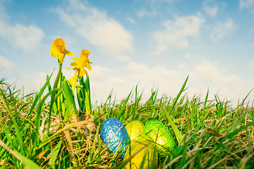 Image showing Easter eggs with daffodils