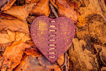 Image showing Heart on autumn leaves