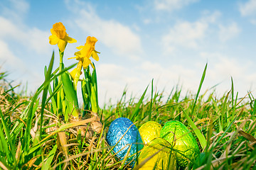 Image showing Easter eggs in grass