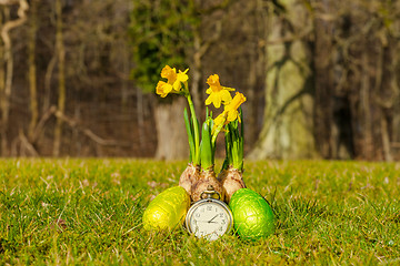 Image showing Easter time with daffodils and eggs