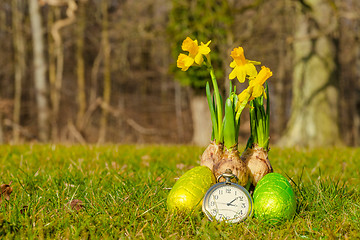 Image showing Easter time with eggs and daffodils