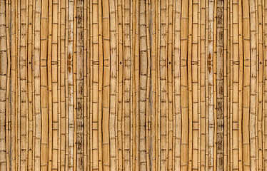 Image showing Bamboo background in vertical alignment