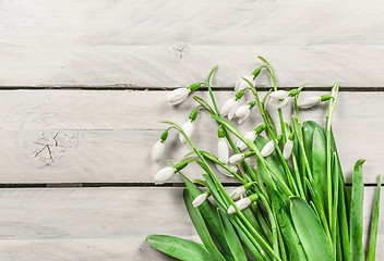 Image showing Snowdrop flowers on wooden background