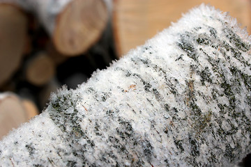 Image showing Fire wood covered by hoar-frost