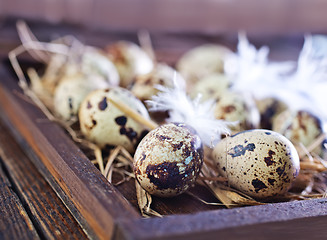 Image showing quail eggs