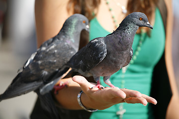 Image showing Tourist - Venice