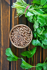 Image showing coriander