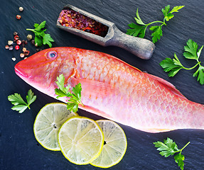 Image showing raw fish