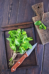 Image showing fresh mint