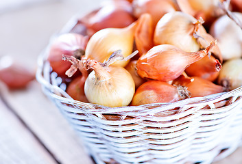 Image showing onion