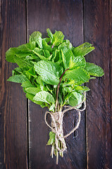 Image showing fresh mint