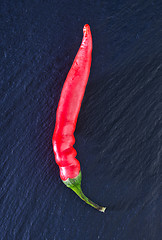 Image showing chilli