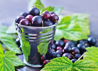 Image showing black currant