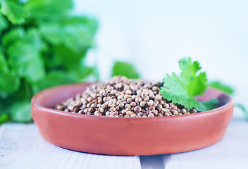 Image showing coriander