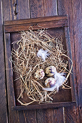 Image showing quail eggs