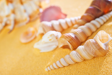 Image showing sea shells and stones