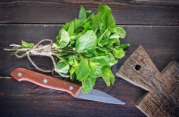 Image showing fresh mint