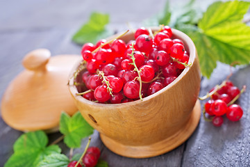 Image showing red currant 