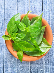 Image showing fresh basil