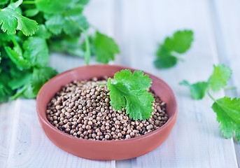 Image showing coriander