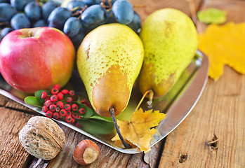 Image showing autumn harvest