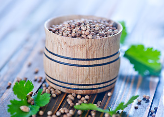 Image showing coriander