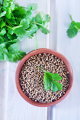 Image showing coriander