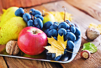 Image showing autumn harvest