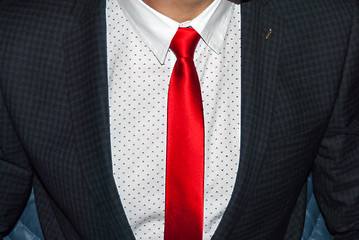 Image showing tie