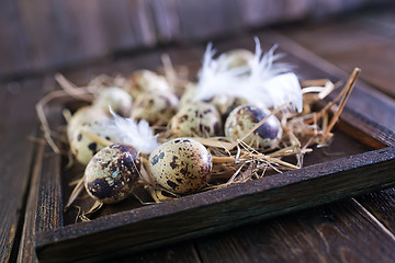 Image showing quail eggs