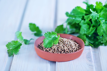 Image showing coriander